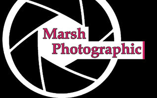 Marsh Photographic